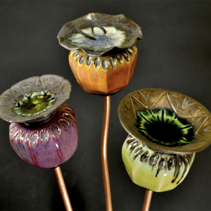 Poppy seed heads 2.1